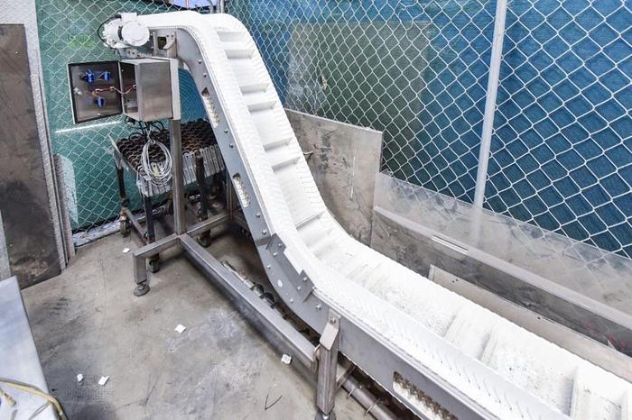 Used 176" Long x 8" Wide Food Grade Flighted Incline Conveyor