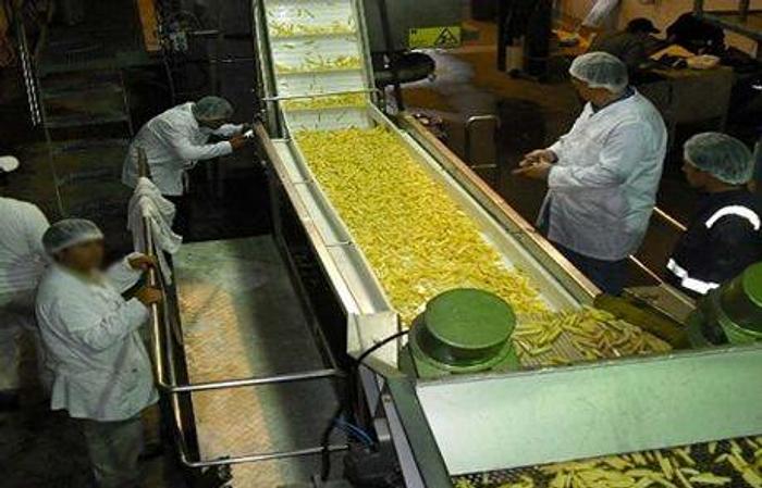 Used Sold Used Deep Frozen French Fries Line
