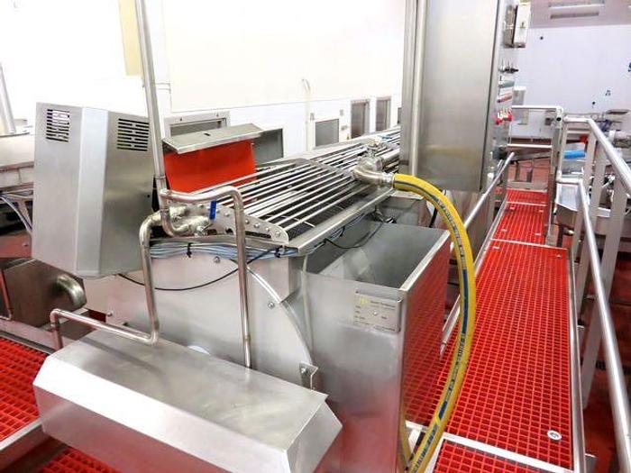 Used DUTCH TECSOURCE VEGETABLE WASHING AND STEAM BLANCHING LINE
