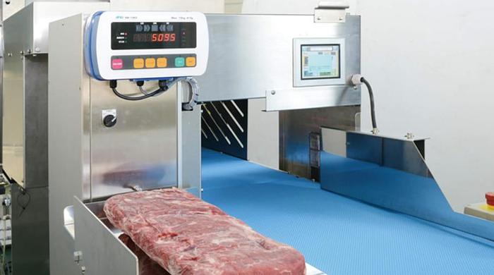 Nantsune Model NTD-300F Libra 300F 3D Frozen Fixed Weight Meat Slicer