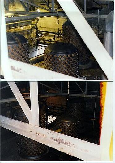 Used NOSS RADICLONE #10598