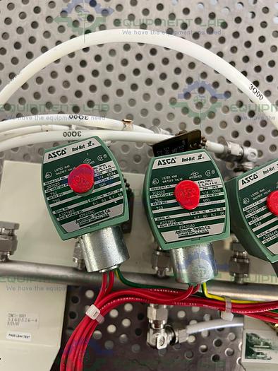 Used Lot of 4 - ASCO Red-Hat  8262G80 Solenoid Valve 1/4"