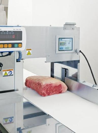 Nantsune Model NTD-300 Libra 300C Fixed Weight Meat Slicer