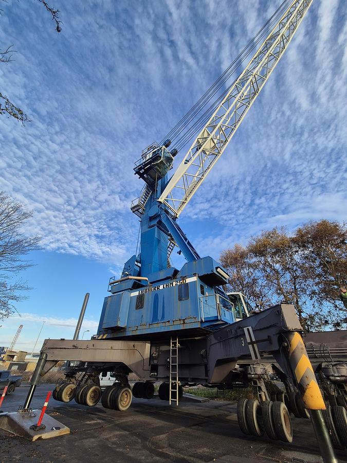 Used Liebherr LHM 250