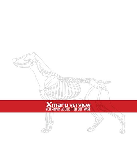 Rayence 1417WCC Wireless Flat Panel Detector - Xmaru VetView Veterinary Software