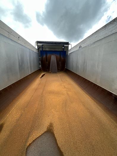 Used 2014 KW T800 Tri-Axle Dump Truck #5549