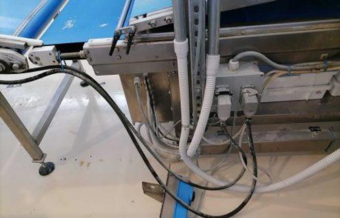 Used Used Pizza lamination line