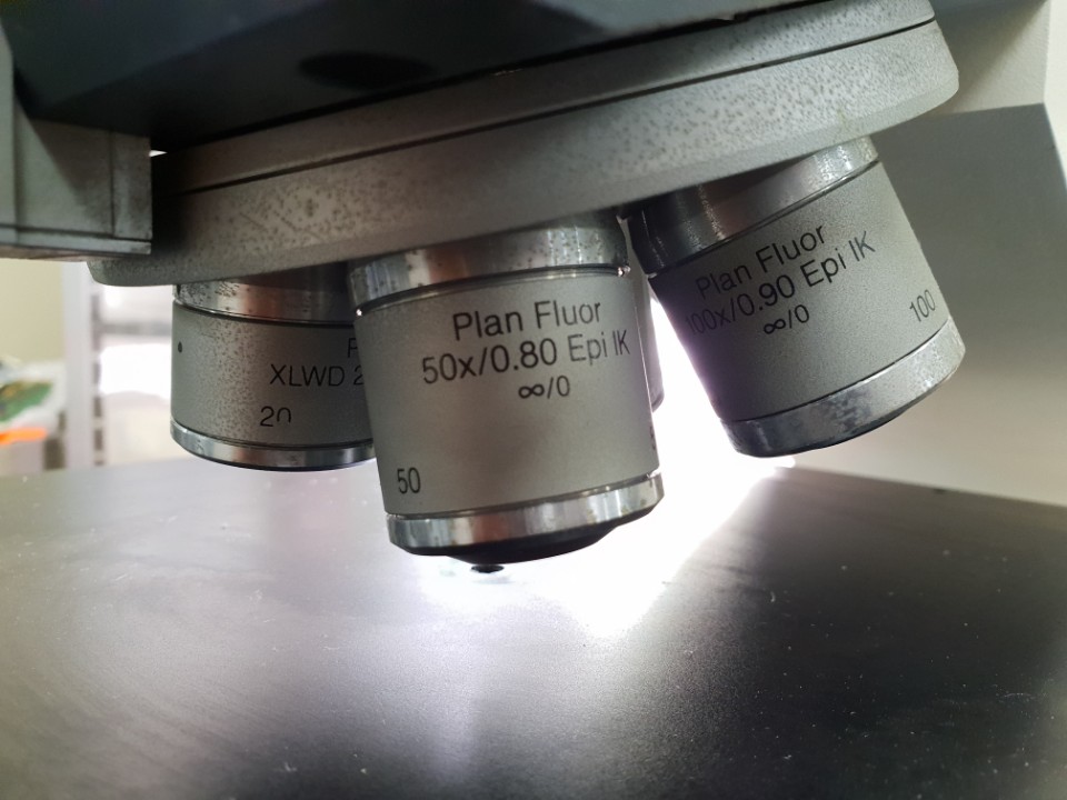 Used Leica Reichert-Tic Polycon Microscope