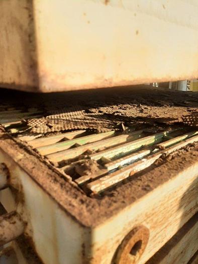 Used Filter, P&F, 36" x 36", C/st, Womach, Vert, 54 SF, 4.5CF #C730341