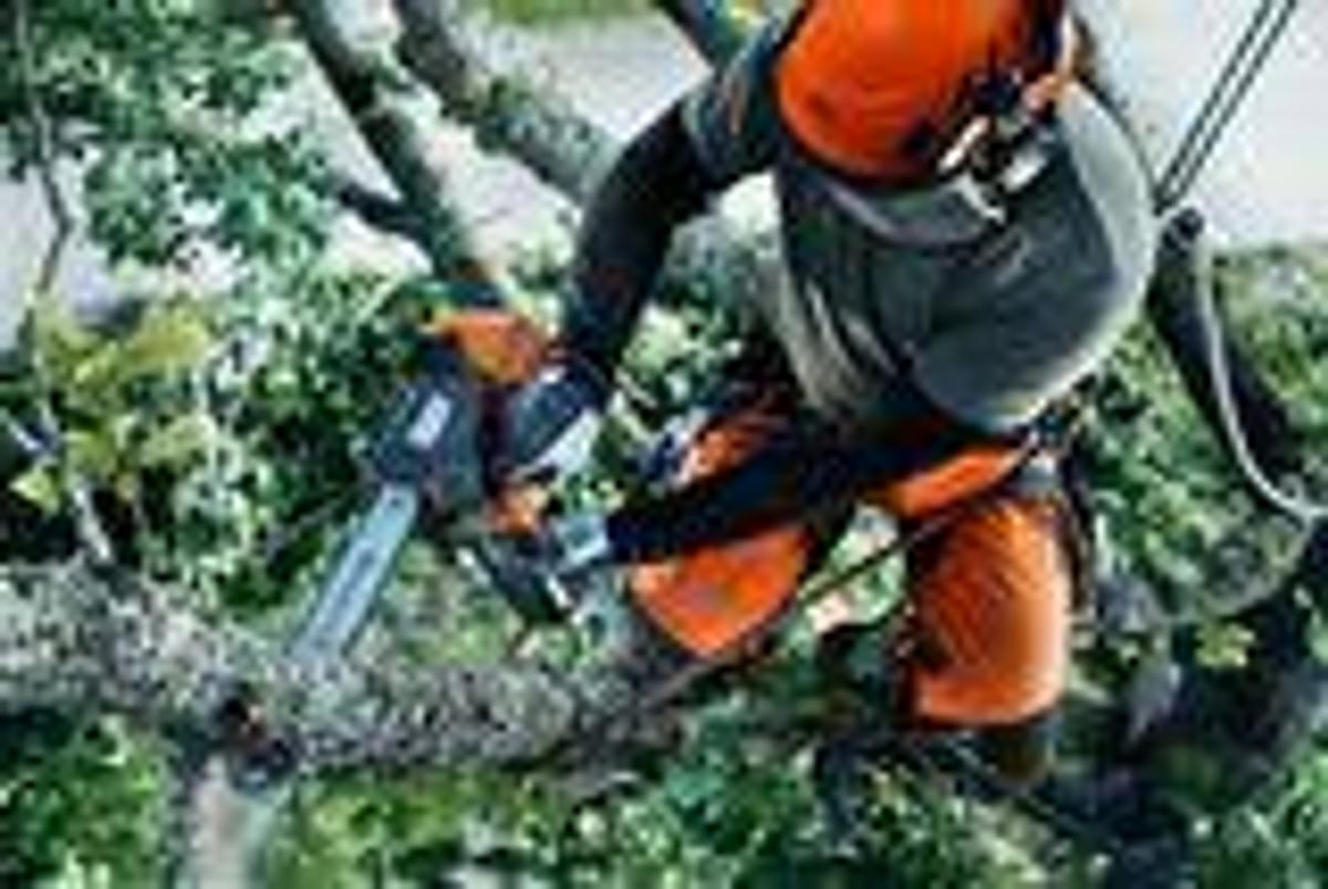 HUSQVARNA T540 XP® II