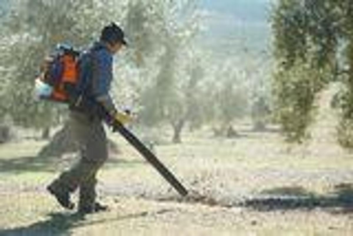 HUSQVARNA 580BTS Mark III