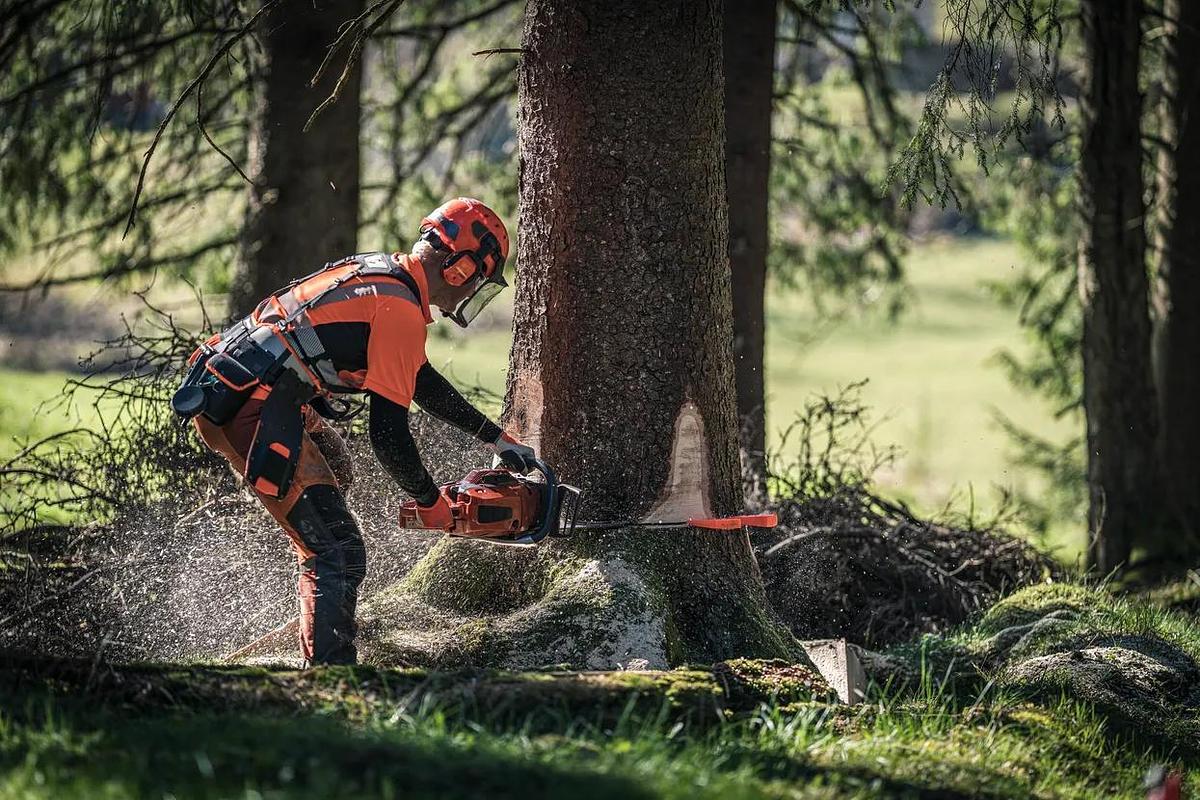 HUSQVARNA 572 XP® G