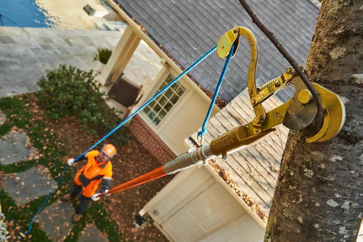 Manual Pole Saw