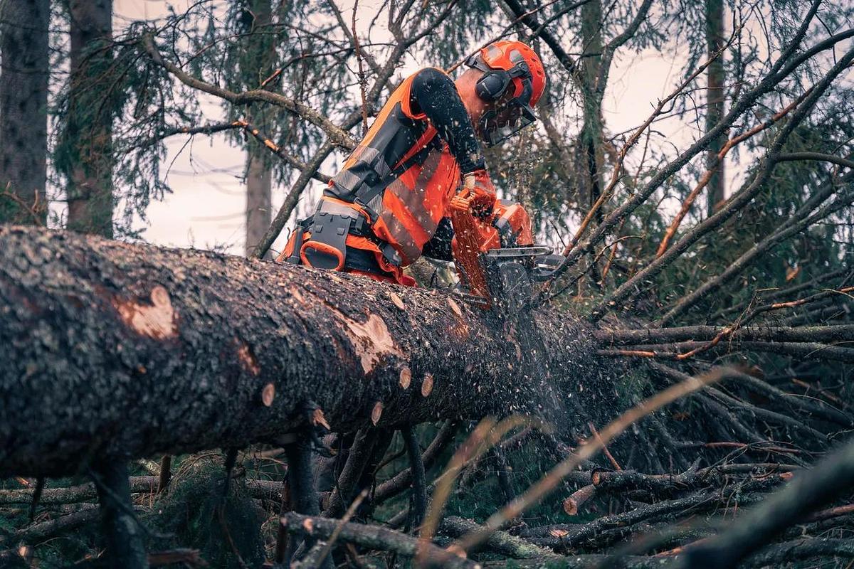 HUSQVARNA 592 XP® G