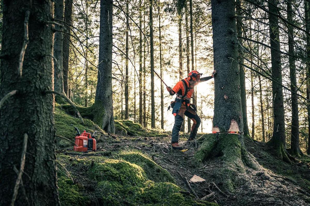 HUSQVARNA 572 XP® G
