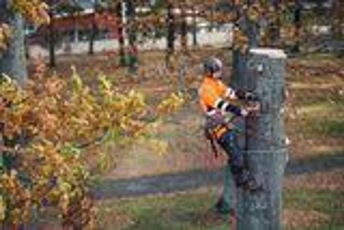 Husqvarna 550i XP®