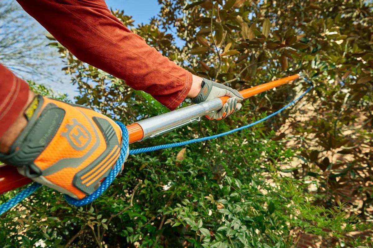 Manual Pole Saw