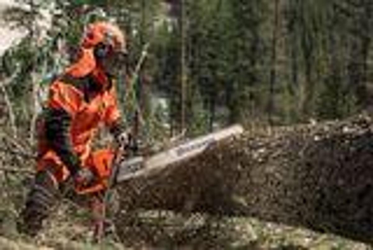 HUSQVARNA 572 XP® G