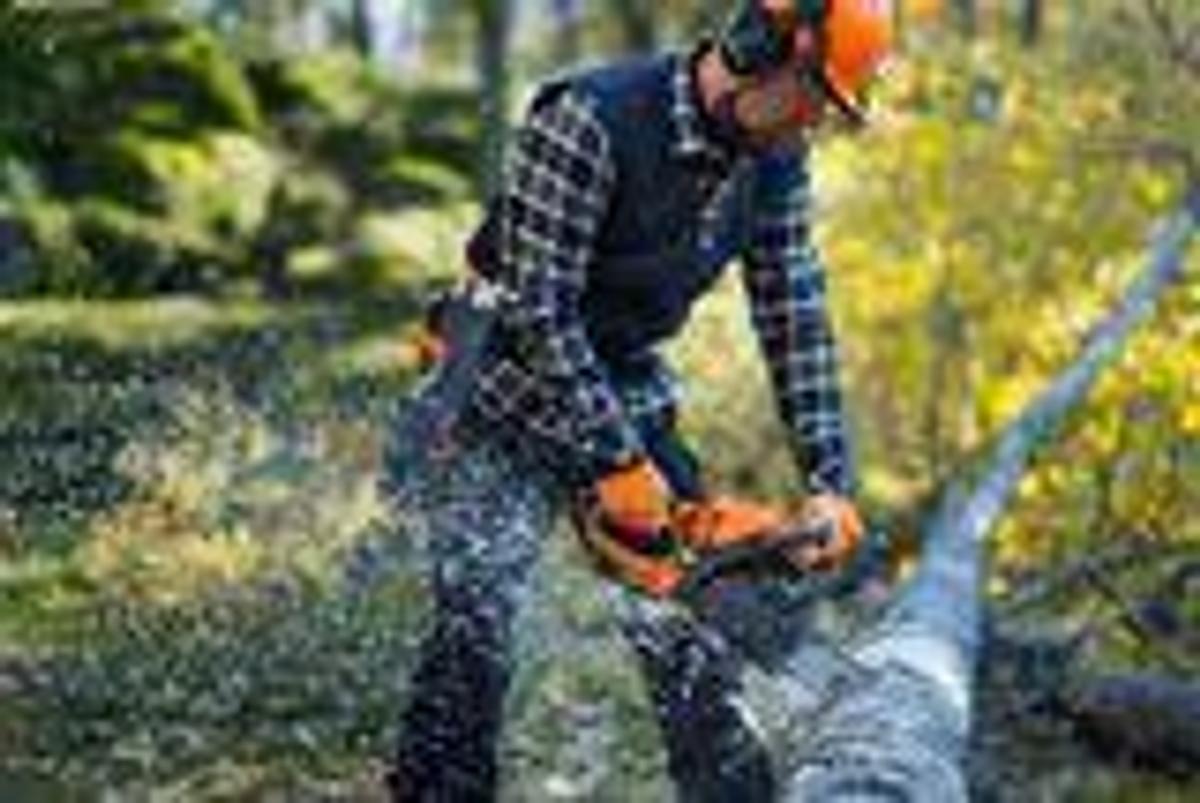 Husqvarna 450S Rancher