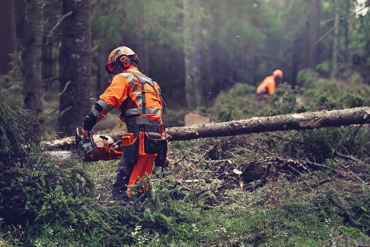 Husqvarna 564 XP® G Fuel Injected