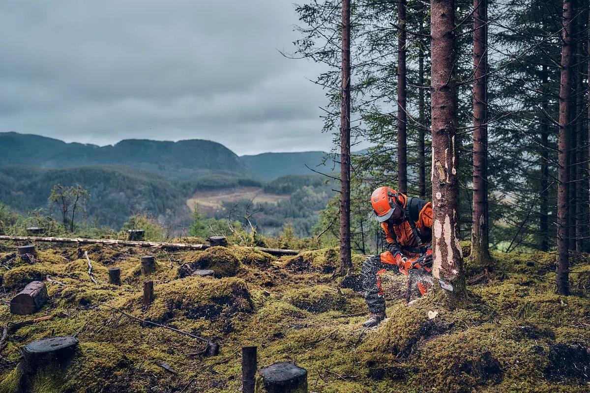 HUSQVARNA 540 XP® Mark III