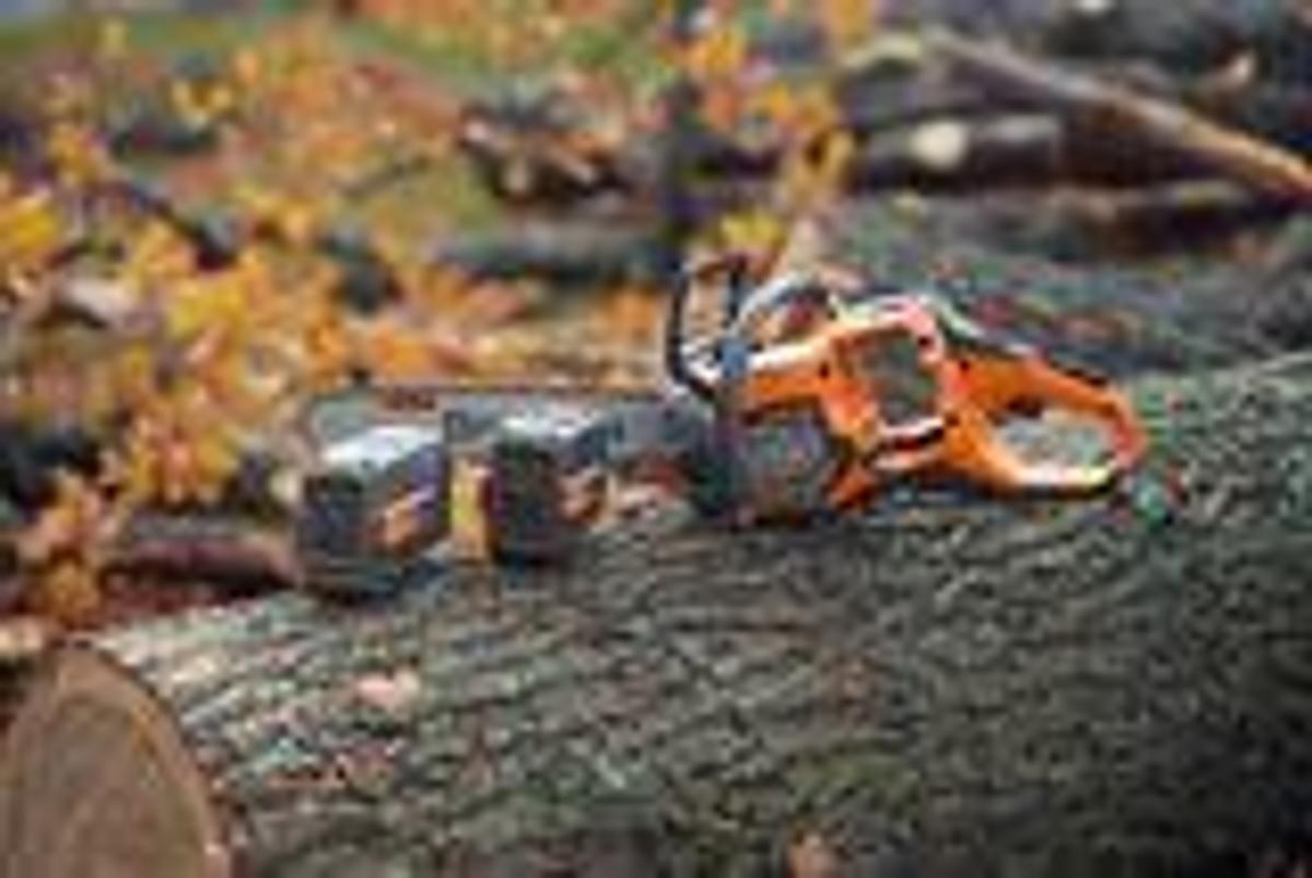 Husqvarna 550i XP®