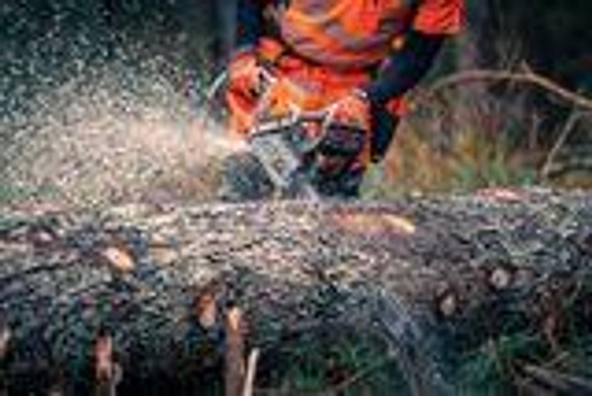 HUSQVARNA 592 XP® G