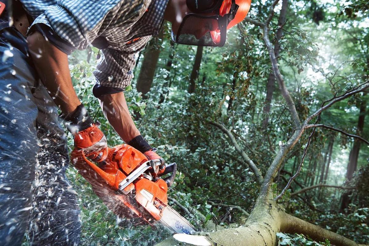 HUSQVARNA 555