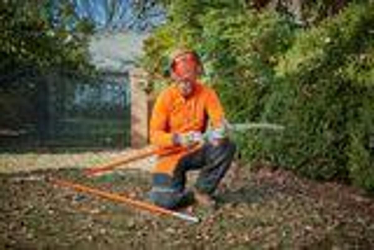 Manual Pole Saw