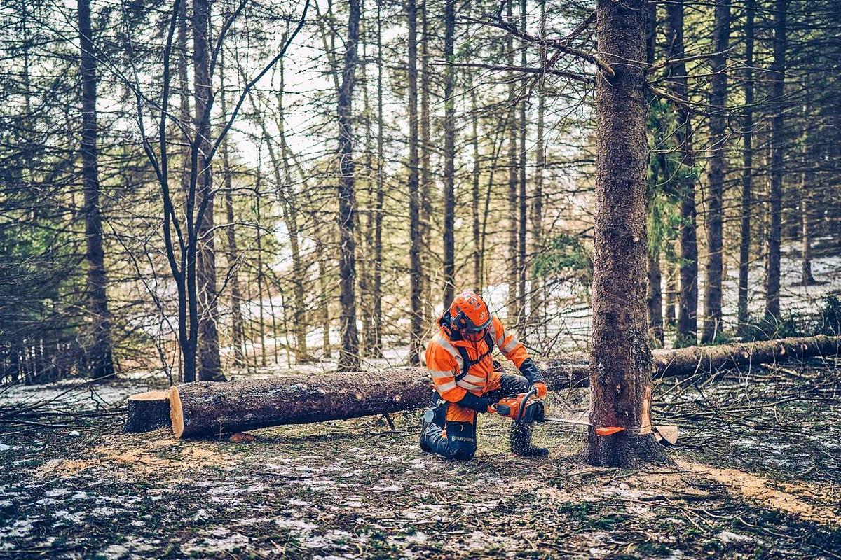 Husqvarna 562 XP® Mark II