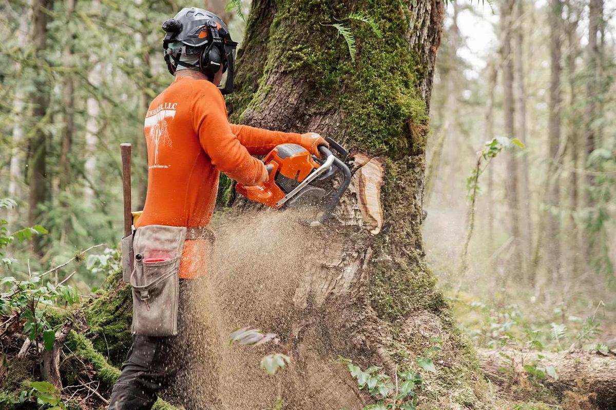 HUSQVARNA 592 XP® G