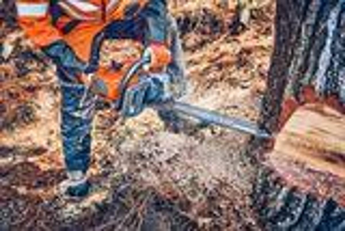 Husqvarna 562 XP® Mark II