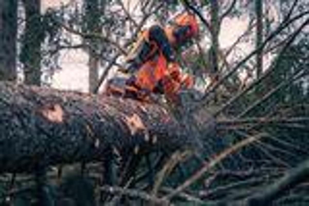 HUSQVARNA 585