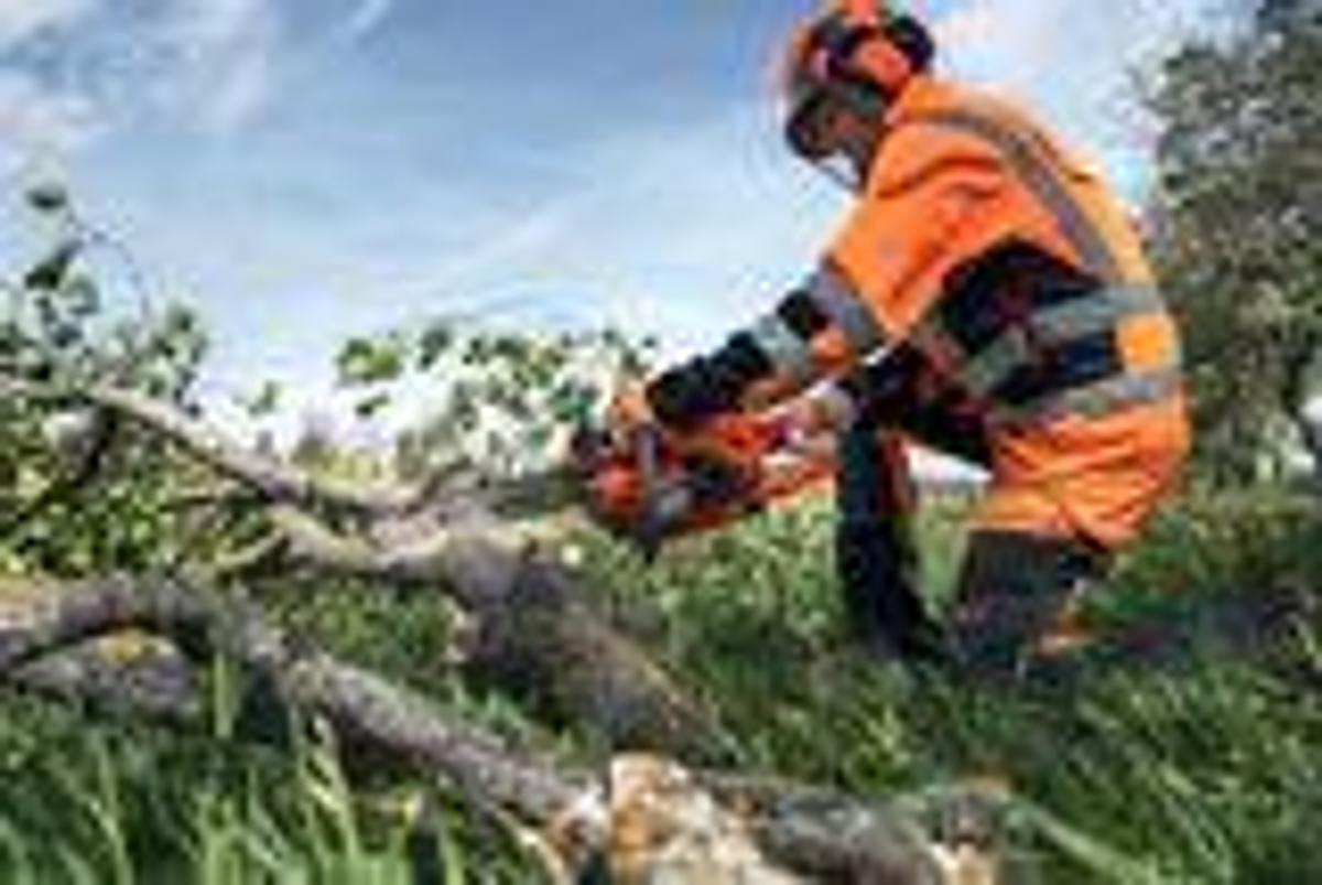 HUSQVARNA 540 XP® Mark III