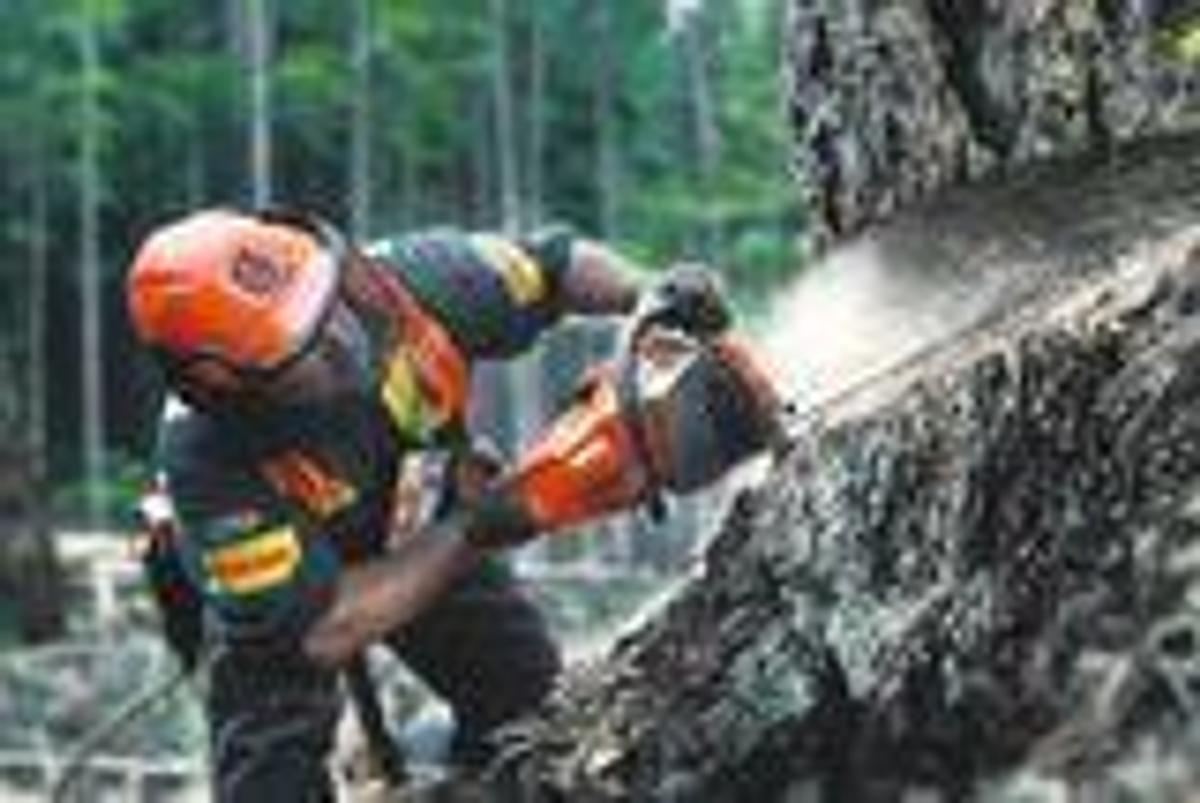 HUSQVARNA 565