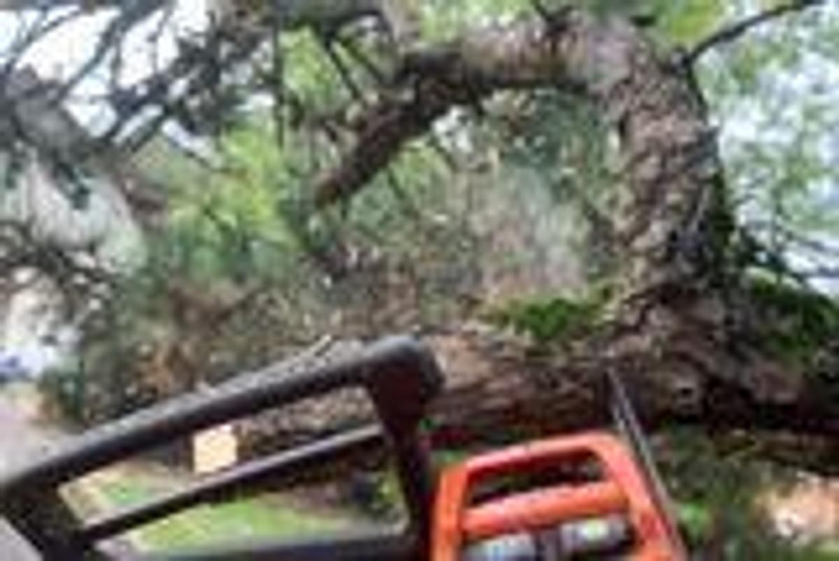 Husqvarna T542i XP® G