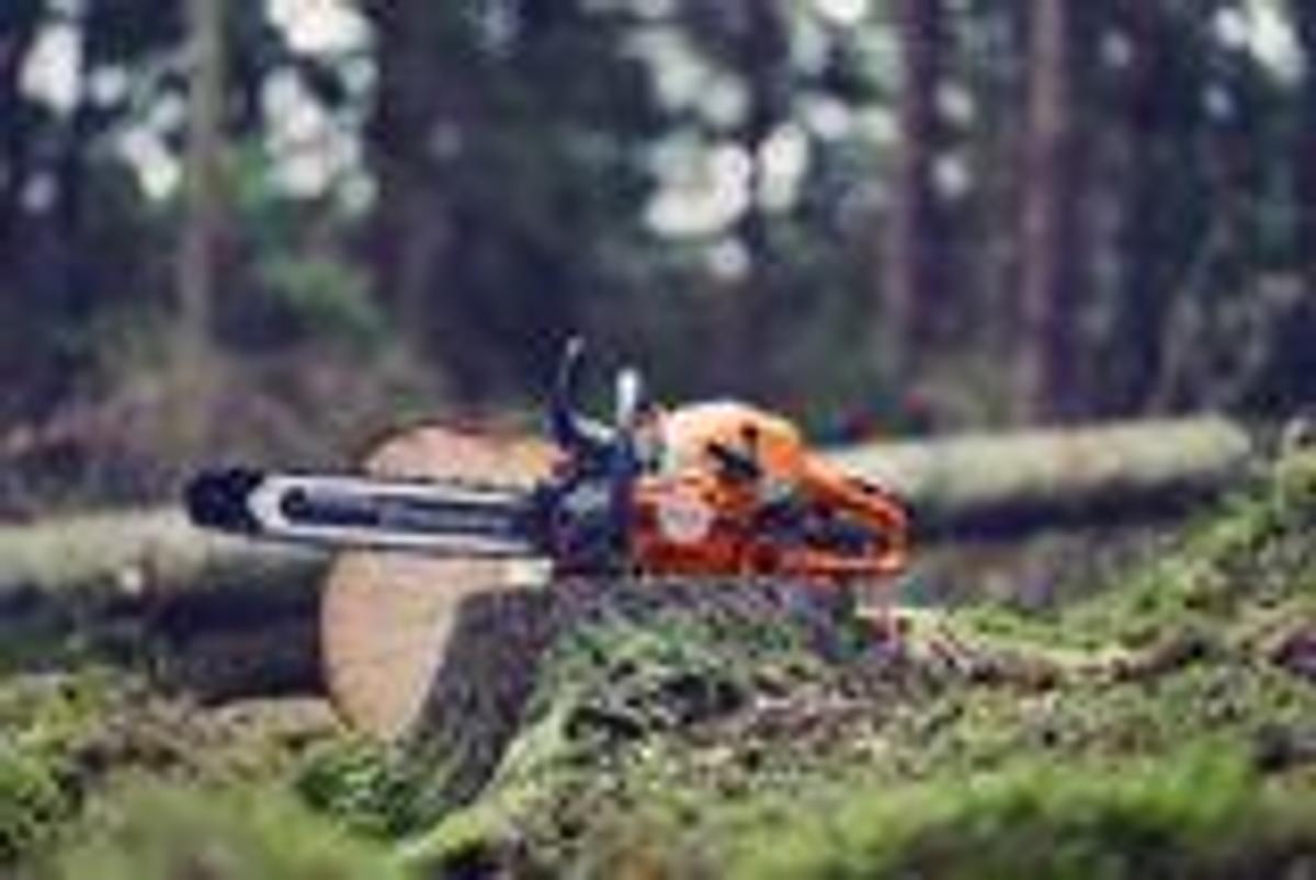 Husqvarna 564 XP® Fuel Injected