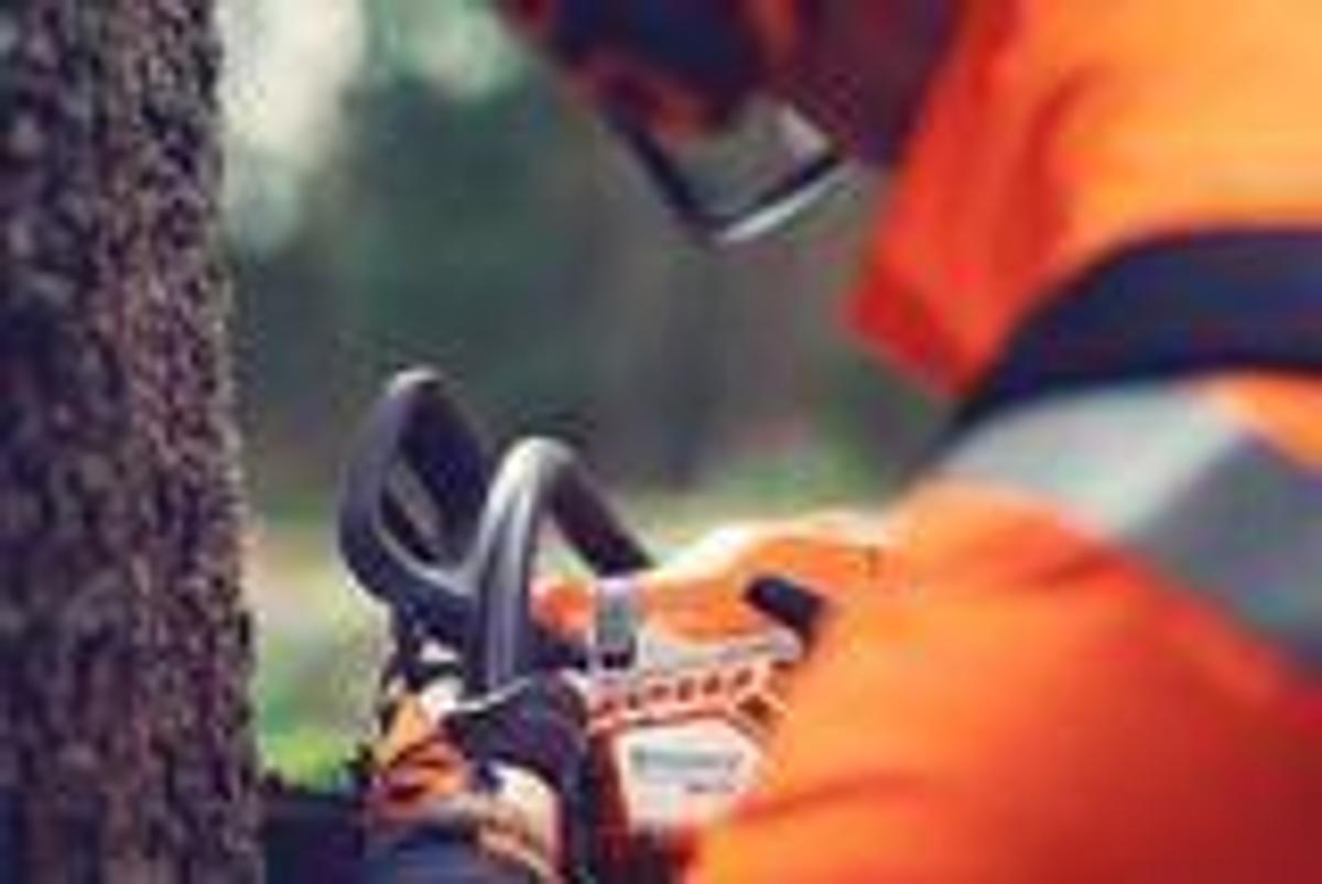Husqvarna 564 XP® Fuel Injected