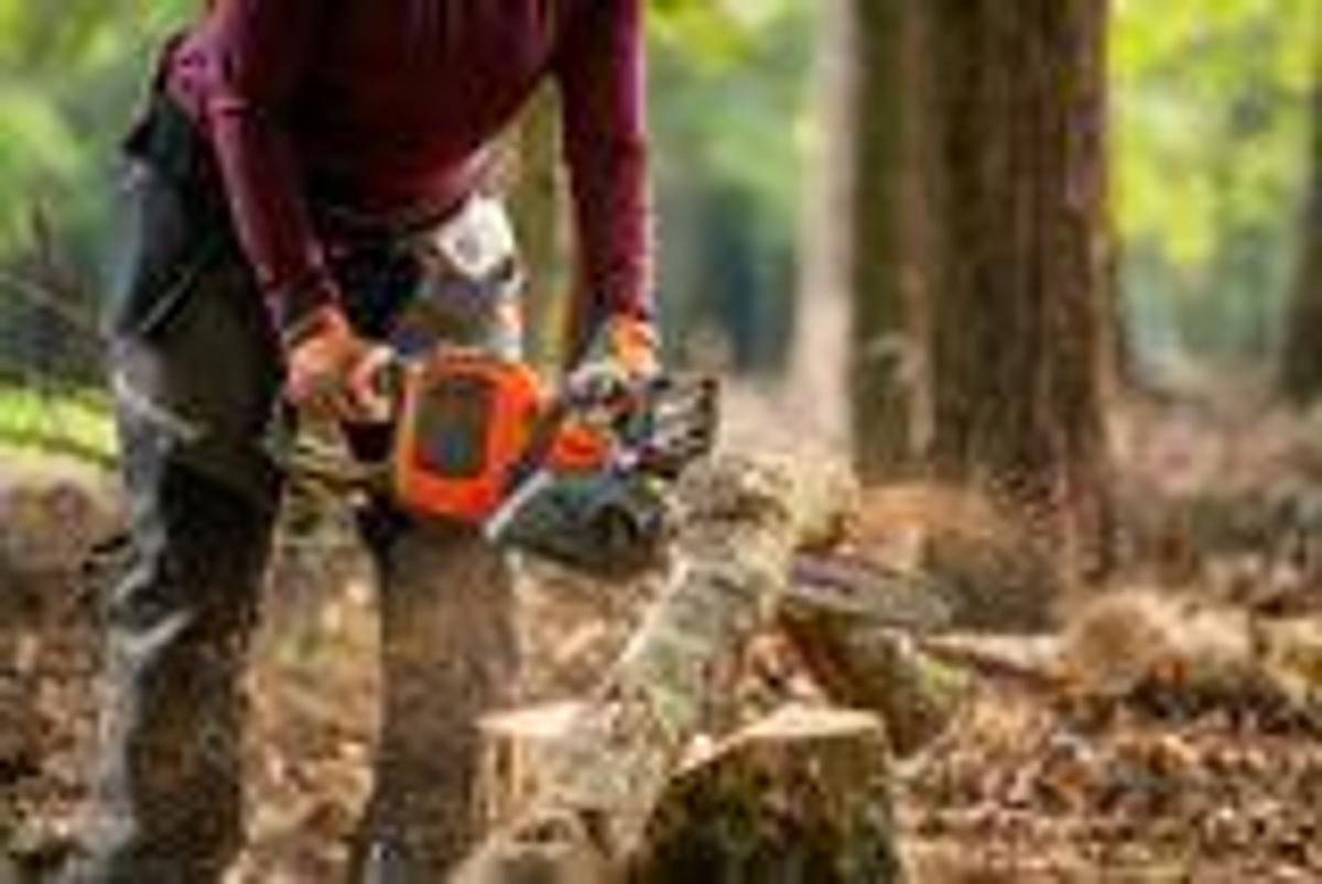 Husqvarna 225i