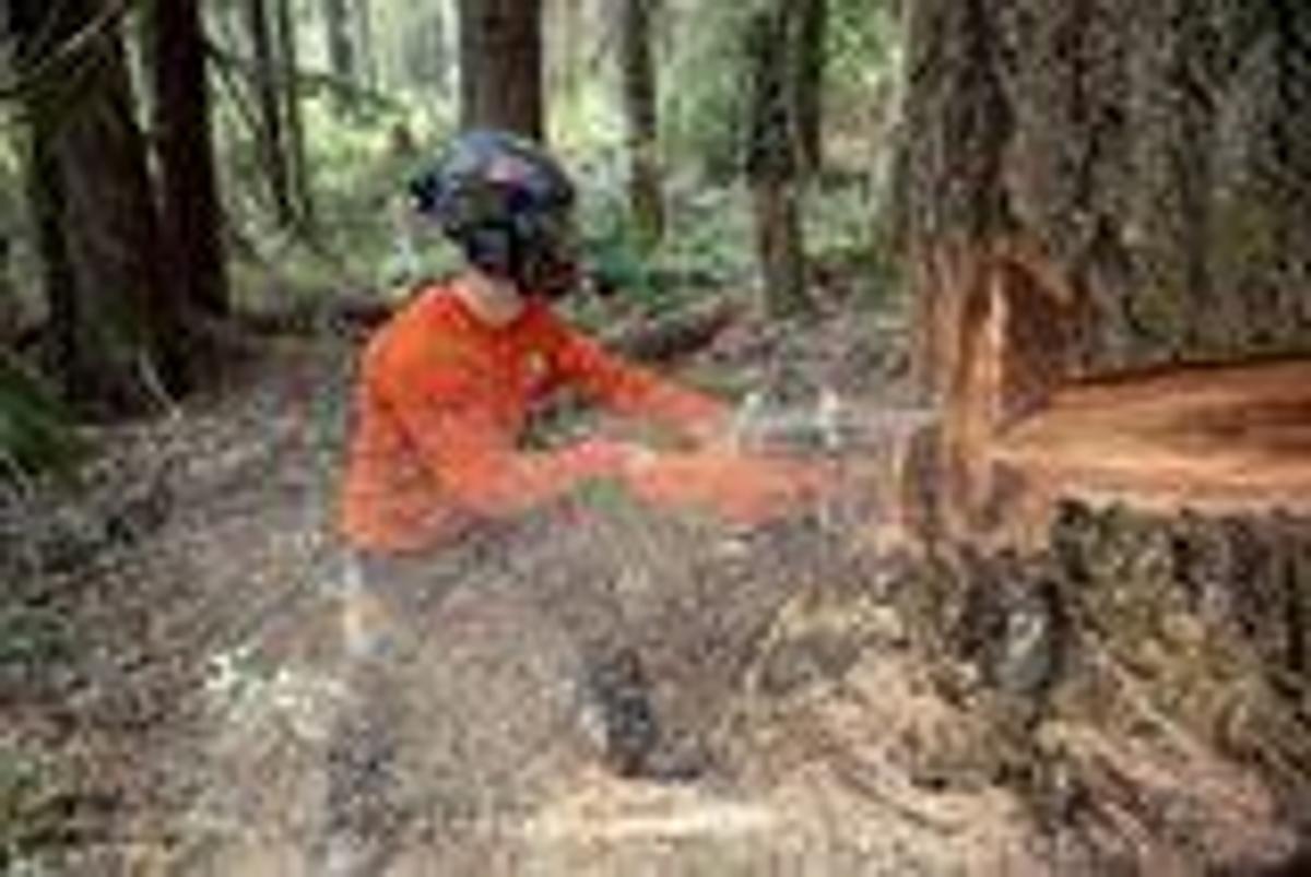 HUSQVARNA 585