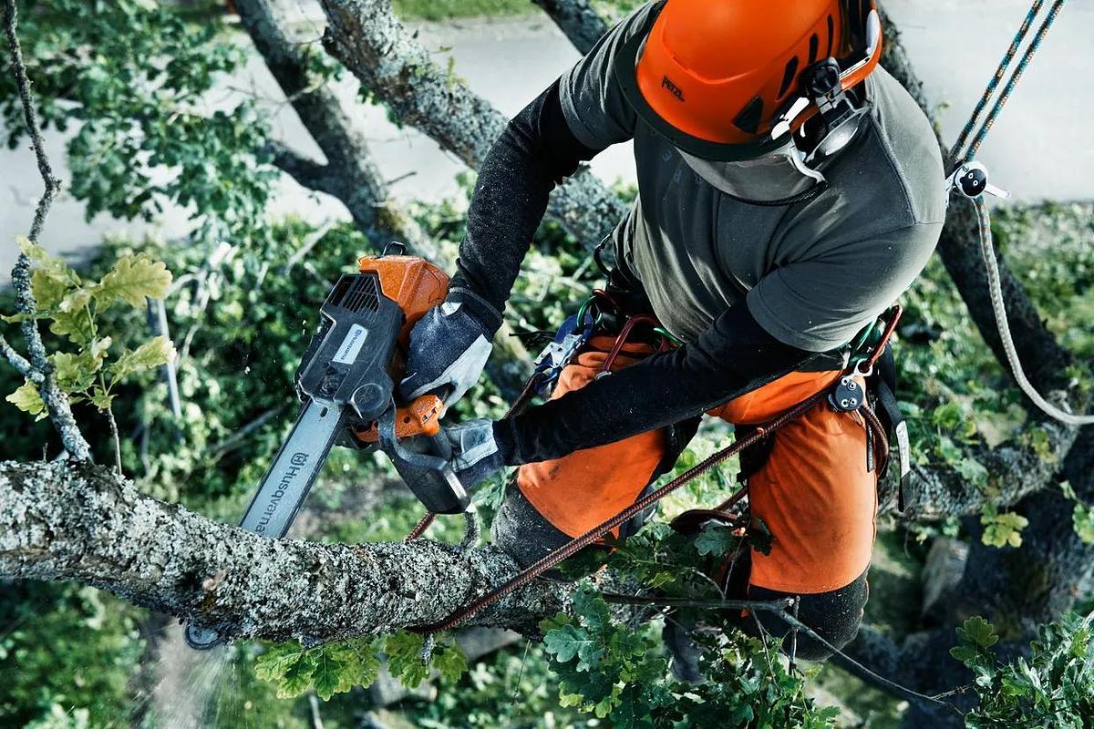 HUSQVARNA T540 XP® II