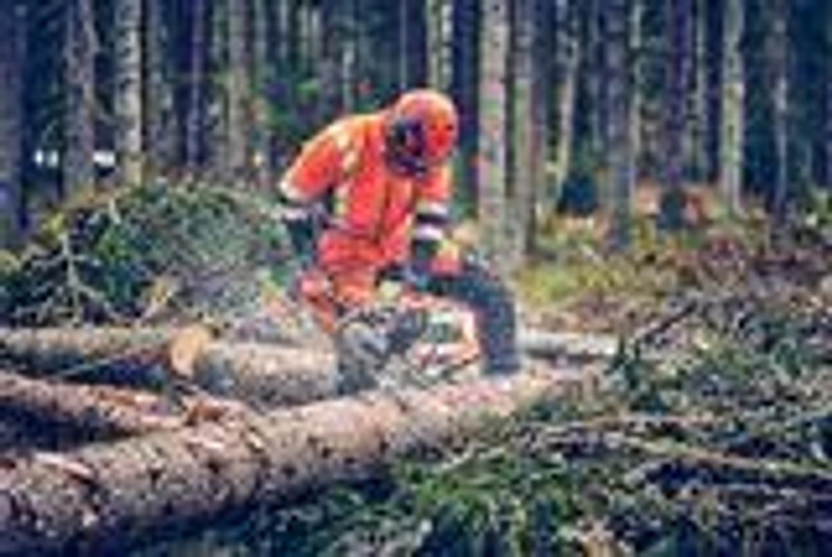 Husqvarna 562 XP® Mark II