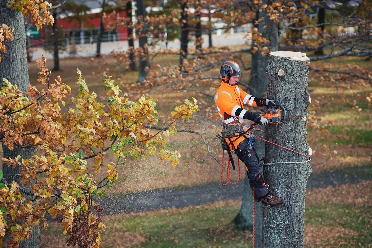 Husqvarna 550i XP® G