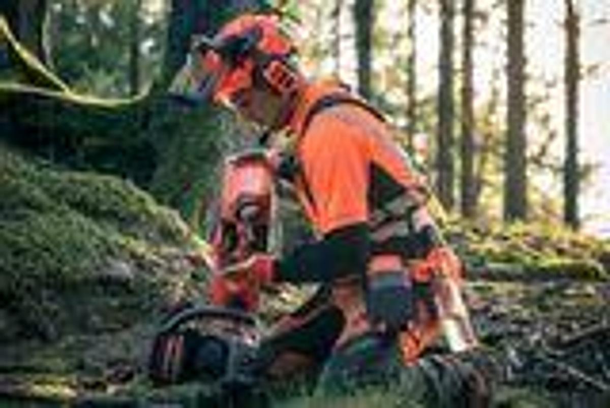 HUSQVARNA 585