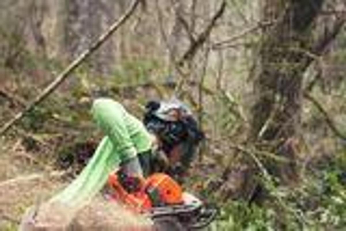 HUSQVARNA 585