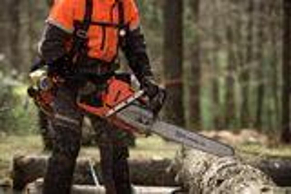 HUSQVARNA 565