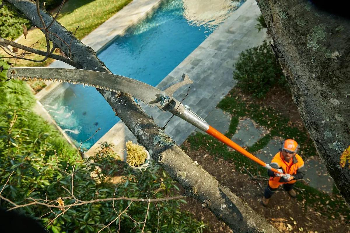 Manual Pole Saw