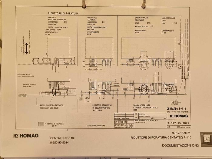Usato 2019 Homag  Centateq P-110 V BMG 110/42/K