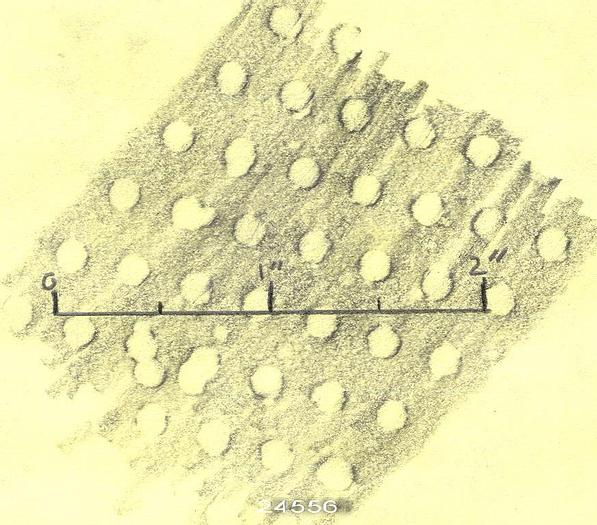 Used Manchester  Suction Press Roll, 18" Diameter, 90" Drilled Face, 110" Bearing Centerline #24556