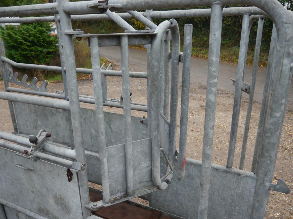 Used Loddon Cattle Crush